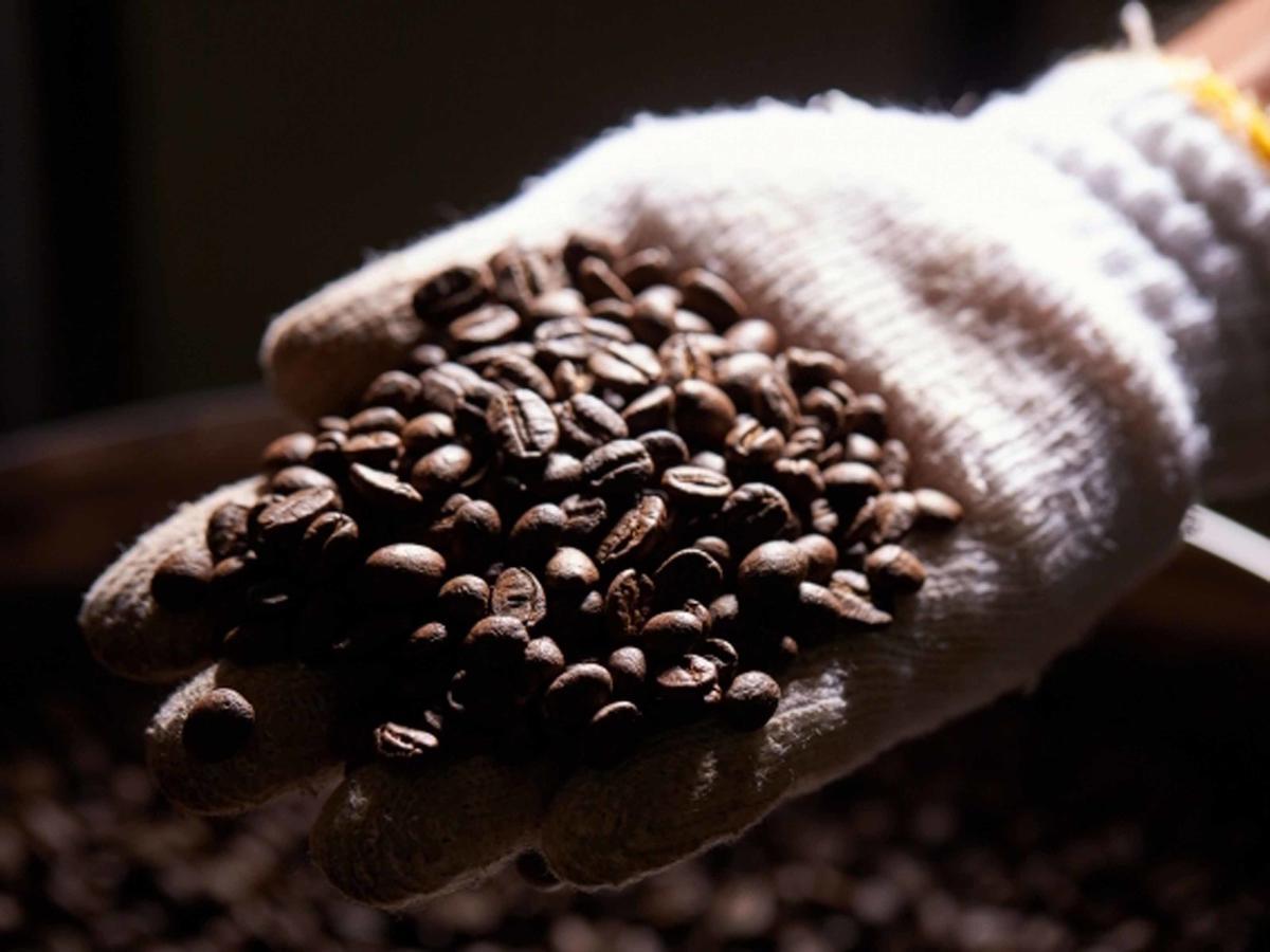 Villa Matayoshi Coffee Farm Higashi Exterior foto